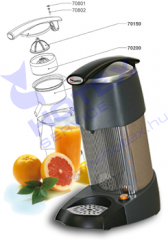 Narancs (citrus) facsaró